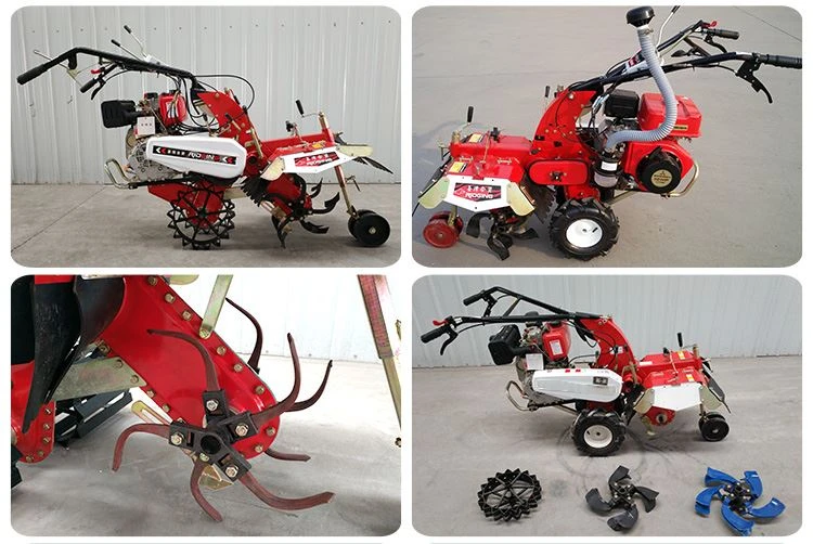 1 mini tiller 