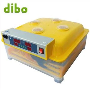 Incubateur de petite capacité