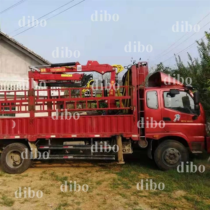 Grue de chargeur pour camion
