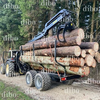 Grane en bois de 7,8 m avec remorque